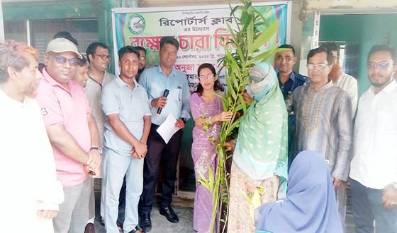 কালিগঞ্জে প্রান্তিক জনগোষ্ঠীর মাঝে ফলজ বৃক্ষের চারা বিতরণ