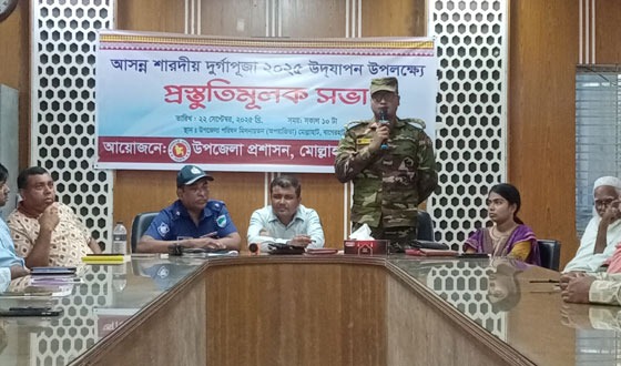 মোল্লাহাটে শারদীয় দুর্গোৎসব উপলক্ষে প্রস্তুতি সভা