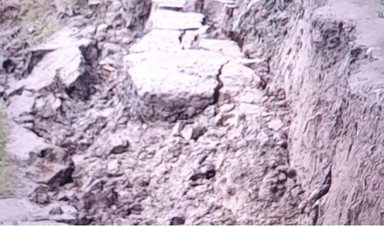 রামনগর গ্রামের সড়কটি বিলীন হচ্ছে বড়াল নদে