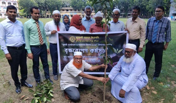 ভাঙ্গুড়ায় পূবালী ব্যাংকের উদ্যোগে বৃক্ষরোপণ কর্মসূচি