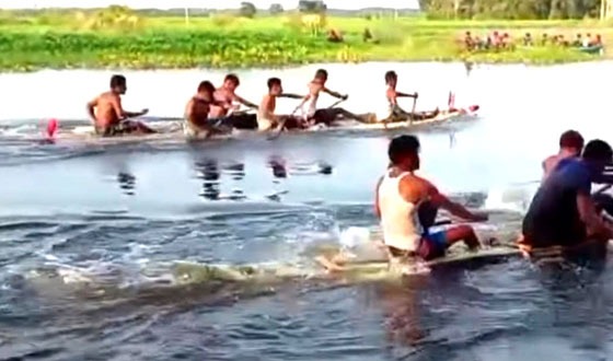 চাটমোহরের কামার বিলে ভেলা প্রতিযোগিতা