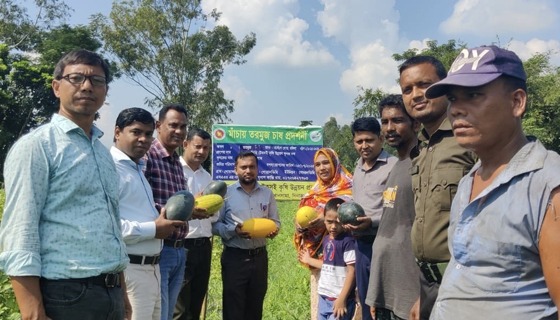 গ্রীষ্মকালীন তরমুজ চাষে সফল খানসামার চাষীরা, বাড়ছে আগ্রহ