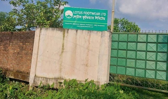 সাতকানিয়ায় ইউএনও'র সাঁড়াশী অভিযান