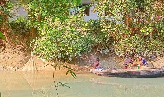 কাউখালীতে চরগড়া জালের মহোৎসব চলছে