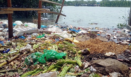 ইলিশ মিলছে না কালেভদ্রেও, মোহনায় ডুবোচর