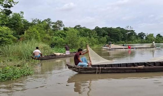 হালদায় শুরু হয়েছে মা মাছের আনাগোনা