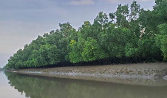 সুন্দরবনের কঠোর নজরদারি প্রতিনিয়ত চলছে টহল কার্যক্রম