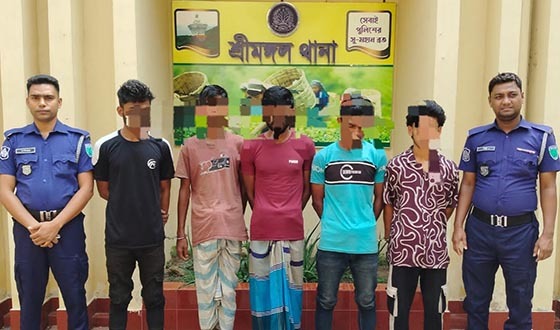 শ্রীমঙ্গলে পুলিশের সাড়াশি অভিযান: শাপলাবাগ থেকে গ্রেফতার ৫