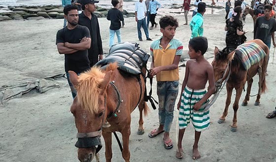 ঘোড়ার ক্ষতের ওপর বসে পর্যটকদের বিনোদন