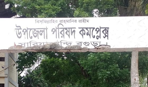 সারিয়াকান্দিতে চার ইউপিতে নিজস্ব ভবন না থাকায় ভোগান্তি