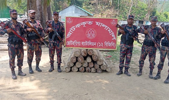 রাঙ্গামাটির বরকলে লক্ষাধিক টাকার সেগুন গোলকাঠ আটক