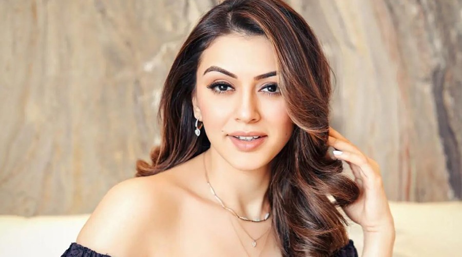 বিবাহবিচ্ছেদ নিয়ে যা বললেন হংসিকা
