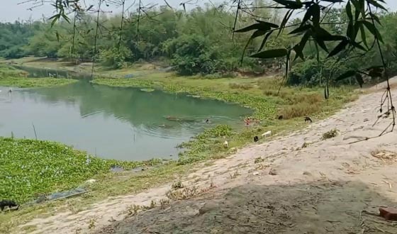 মেহেরপুরের গাংনীতে পানিতে ডুবে শিশুর মৃত্যু