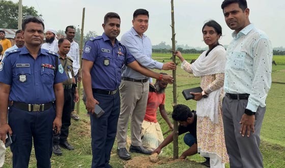 হিলিতে সজিনা চারা ও কাটিং রোপণ কার্যক্রমের উদ্বোধন