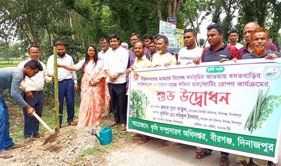 বীরগঞ্জে সজিনা চাষ সম্প্রসারণে রোপণ কার্যক্রমের উদ্বোধন