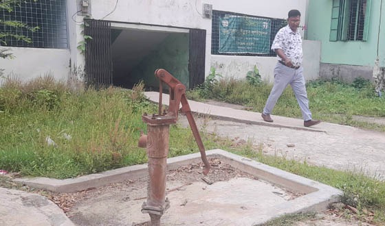 সুজানগরে টমেটো ফসলের মাঠ দিবস অনুষ্ঠিত