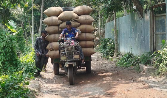 আগৈলঝাড়ায় চেংগুটিয়া বেহালদশা, প্রতিদিন ঘটছে দুর্ঘটনা