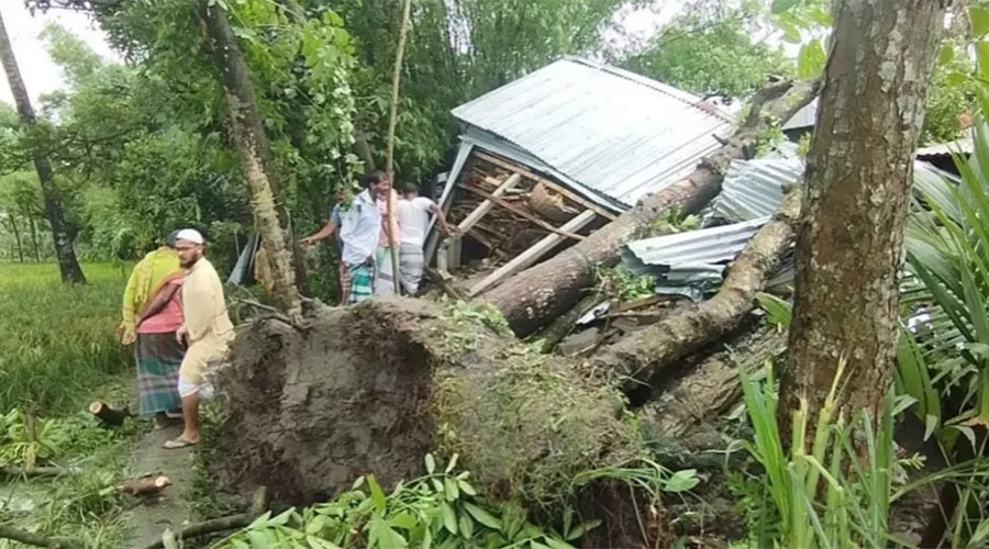কালবৈশাখি ঝড়ে বসতবাড়ির উপর গাছ পড়ে মা ও দুই মেয়ে নিহত