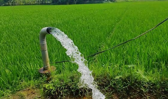 তানোরে বাড়ির পাম্পে জমিতে সেচ দেয়া হাজারো কৃষককে পল্লী বিদ্যুতের জরিমানা