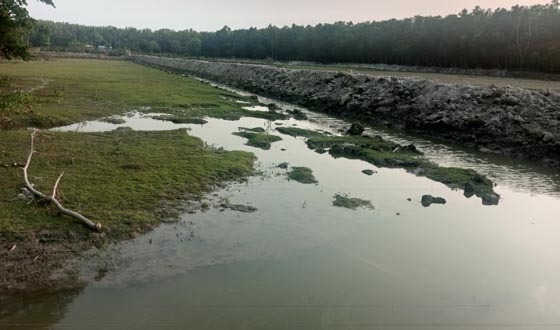 পাউবো'র জমি দখল করে বিএনপি নেতাদের মৎস্য ঘের