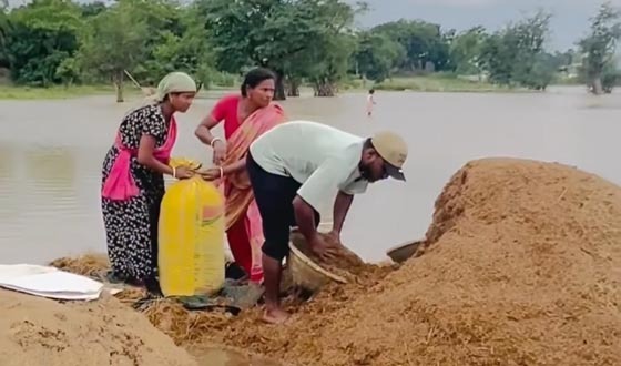 সুনামগঞ্জে হাওরে তলিয়ে গেছে ধান, কৃষকের আহাজারি