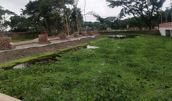 খাল খননে কৃষি, মৎস্য ও পরিবেশের নতুন সম্ভাবনা