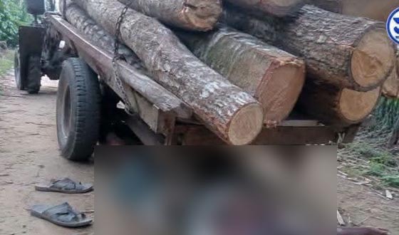 গাছের গুঁড়ির নিচে চাপা পড়ে পাওয়ার ট্রলির হেলপারের মৃত্যু