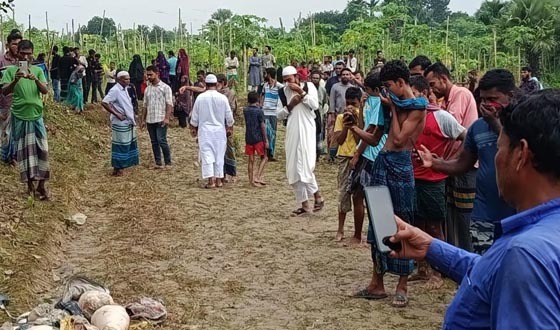নিখোঁজের দশ দিন পর বাড়ির পুকুর থেকে খন্ডিত লাশ উদ্ধার