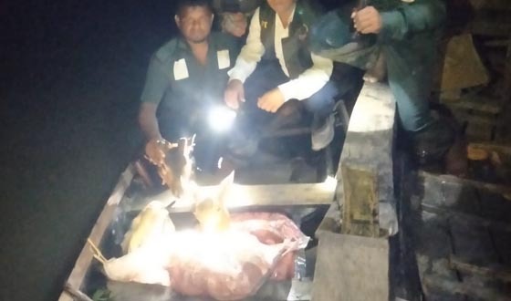 কয়রায় ৭০ কেজি হরিণের মাংস ফেলে পালালো শিকারীরা