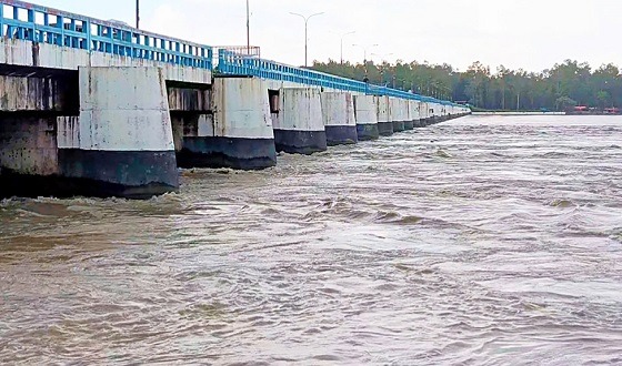 তিস্তায় ফের পানি বৃদ্ধি