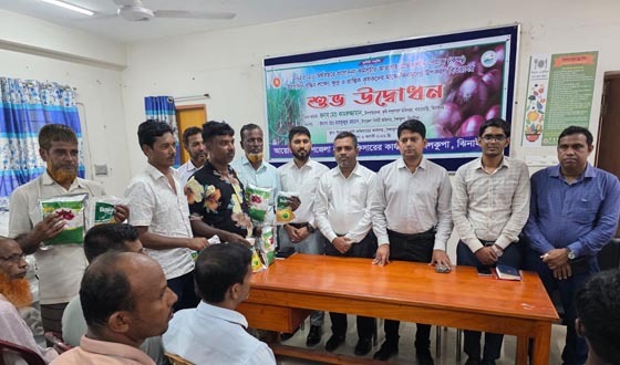 শৈলকুপায় কৃষকের মাঝে গ্রীষ্মকালীন পেঁয়াজের বীজ বিতরণ