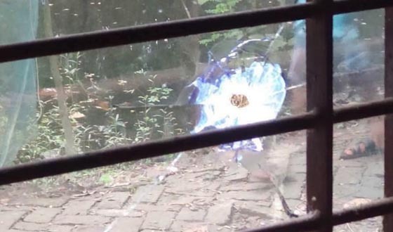 খুলনায় গভীর রাতে যুবদল নেতার বাড়িতে গুলিবর্ষণ, আতংক