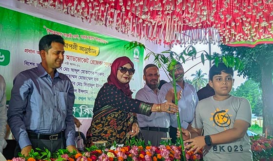বাংলাদেশ গড়ে তুলতে বৃক্ষরোপণের কোনো বিকল্প নেই: রেজেকা সুলতানা