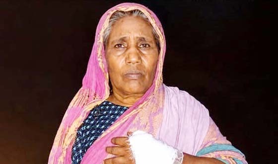 বৃদ্ধা ভিক্ষুককে হাতুরি পেটা, মাদকাসক্ত দুই ভাই গ্রেপ্তার