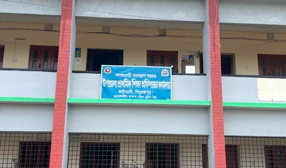 গাছের চারার বদলে ডাল রোপন, কাউখালীতে প্রধান শিক্ষক বরখাস্ত