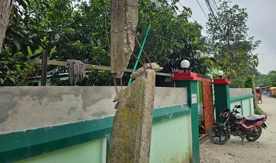 ভাঙা খুটি গাছে বেঁধে চলছে ঝুঁকিপূর্ণ বিদ্যুৎ সরবরাহ