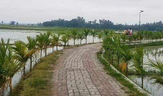 কালাই পৌরসভায় কাদা মাড়িয়ে চলার দিন শেষ