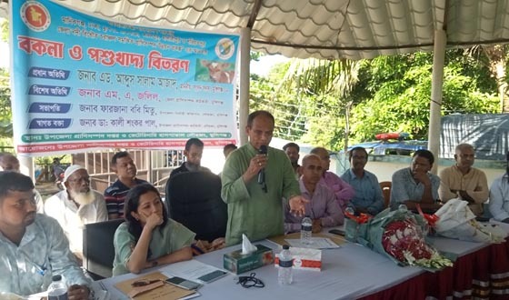 লৌহজংয়ে দরিদ্র-ক্ষুদ্র খামারি ও পশুপালকদের বকনা ও পশুখাদ্য বিতরণ