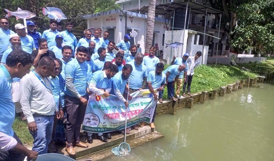 শৈলকুপায় জাতীয় মৎস্য সপ্তাহ পালন উপলক্ষে আলোচনা সভা