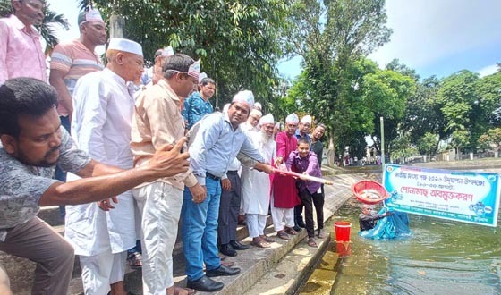 নাগেশ্বরীতে জাতীয় মৎস্য পক্ষ উদযাপন