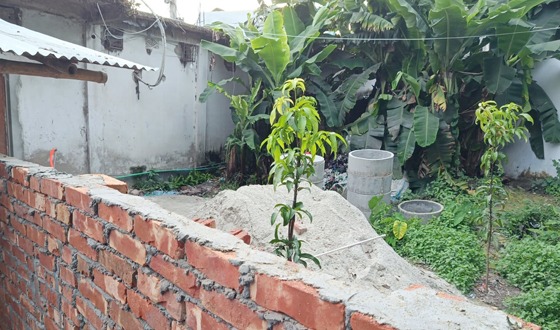 মহাদেবপুরে আদালতের নিষেধাজ্ঞা অমান্য করে জমি দখলের পাঁয়তারা