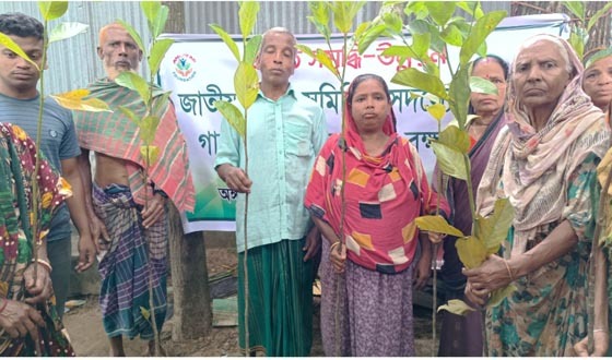 নালিতাবাড়ীতে কৃষক কৃষাণীর মাঝে ফল গাছের চারা বিতরণ