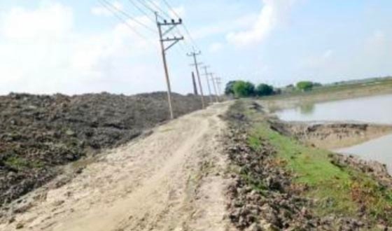 কপোতাক্ষ বাঁধের মাটি যাচ্ছে ইট ভাটায়