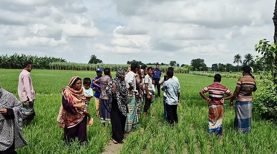 চাচাতো ভাইয়ের ধারালো অস্ত্রের আঘাতে কৃষক নিহত