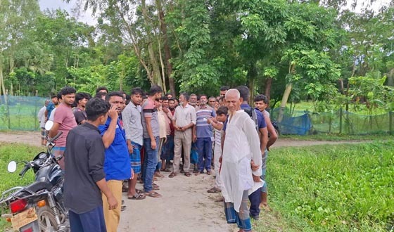 সেনবাগে গরুর ঘাস কাটতে গিয়ে বিদ্যুৎস্পৃষ্টে কৃষকের মৃত্যু