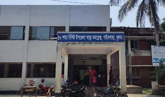 পাইকগাছায় ডেঙ্গু রোগীর সংখ্যা বাড়ছে, জনবল সংকট