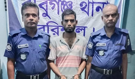 বাবুগঞ্জে ইয়াবাসহ যুবক গ্রেপ্তার, ৬ মাসের কারাদণ্ড