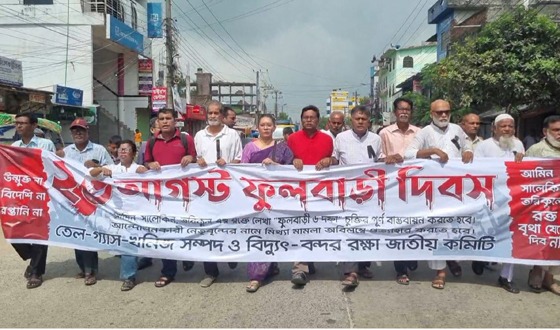 ফুলবাড়ীর দিকে তাকালেই তারা কয়লা ছাড়া কিছুই দেখে না: আনু মুহাম্মদ