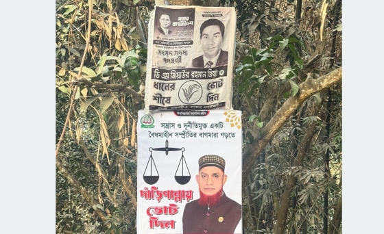 আচরণ বিধিমালা লঙ্ঘনে ধানের শীষ ও দাঁড়িপাল্লার কর্মীদের জরিমানা