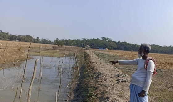 মোরেলগঞ্জে কৃষকের মৎস্য ঘেরে জোরপূর্বক মাছ লুটের অভিযোগ